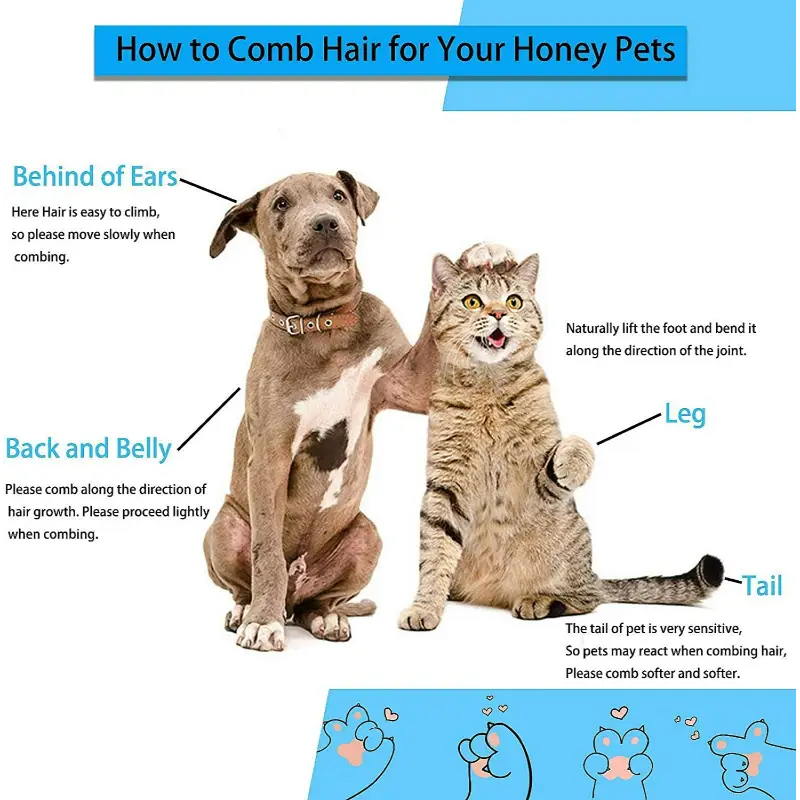 Pet Brush & Fur Remover